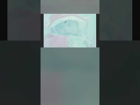 Converting reel into a digital photo #diy