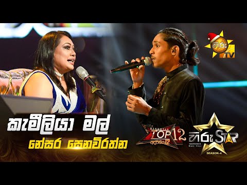 Kameliya Mal - කැමීලියා මල් | Nesara Senevirathne | Hiru Star Season 04 | TOP 12 🌟🔥