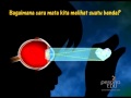 Understanding How Our Eyes See Objects