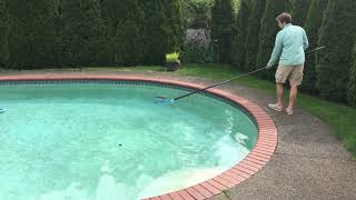Squirrel Rescue from Swimming Pool