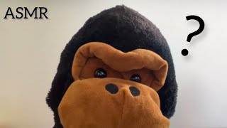 🎥 Static Camera ASMR ⎜Welcome to the World of Stuffed Animals