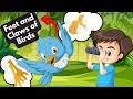 Bird Adaptations and Characteristics
