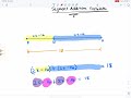 Segment Addition and Algebraic Expressions