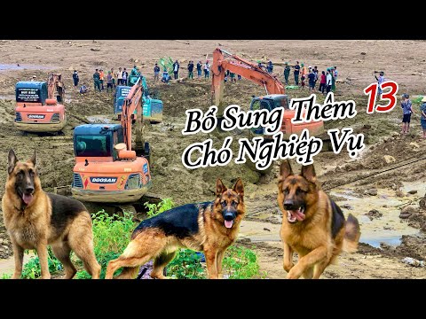 CHẠM TỚI CHIẾC CẦU BÍ ẨN CỦA LÀNG NỦ ĐỘ SÂU KINH HÃI NGHI NGỜ SẼ CÓ NHIỀU THI THỂ MẮC Ở CHÂN CẦU