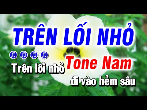 Karaoke Trên Lối Nhỏ Nhạc Sống Tone Nam | Bảo Hưng