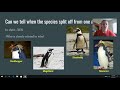 Penguin Adaptation and Evolution Concepts