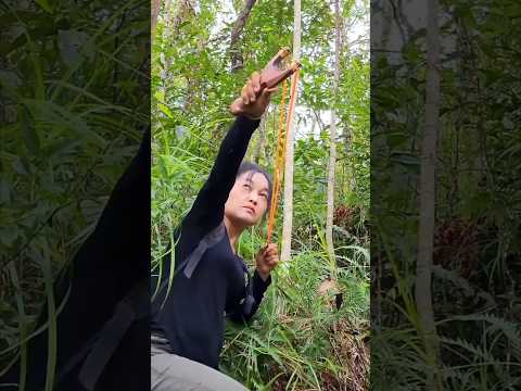 Go into the forest and shoot birds ep225
