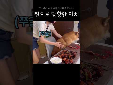 누나 말 듣고 멈춘게 너무 기특해🥹