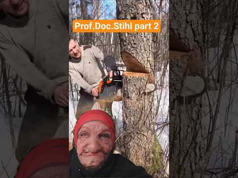 Stihl Prof.Doc.Stihl #professional #doctor #stihl #ideas #howto #dzenancisic #germany #workout