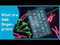 DNA Analysis Techniques and Concepts
