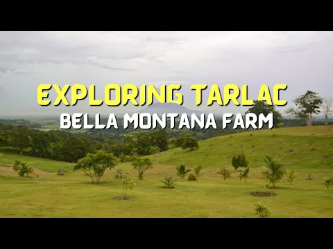 Bella Montana Farm