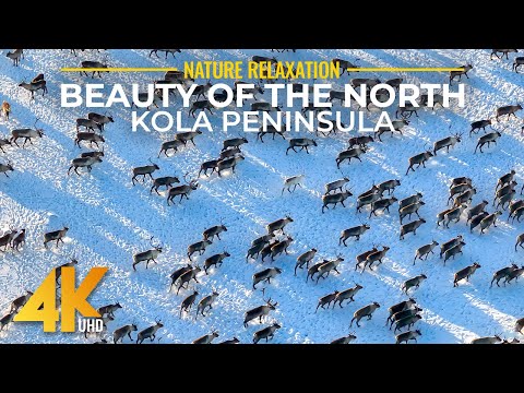 4K Stunning Northern Landscapes | Aerial Views of Kola Peninsula & Karelia with Calm Music