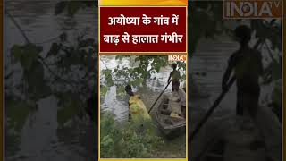 अयोध्या के गांव में बाढ़ से हालात गंभीर #ayodhya #uttarpradesh #flood #heavyrainfallalert #indiatv