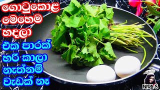 සම්බෝල හදලා කෑවට ගොටුකොළ මෙහෙම කාලා නෑ නේද? | gotukola themparaduwa | gotukola eggs |gotukola recipe