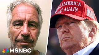 Trump ‘trying to move Epstein off the front page’ by focusing on D.C. crime