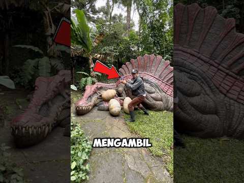 Orang ini mengambil telur dinosaurus 😱