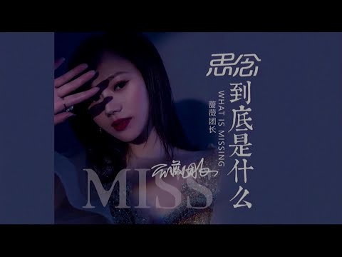 思念到底是什么-蔷薇团长-主唱 KARAOKE