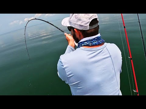 Historic Summer Flounder Run - Hundreds of Fluke to Limit!