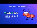 Understanding Vowel-Consonant-Consonant-Vowel Syllable Patterns