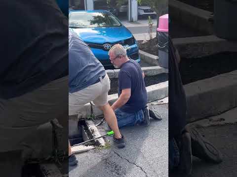 Rescuing Baby Ducks From A Drain