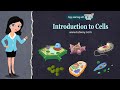 Cell Biology Concepts and Characteristics