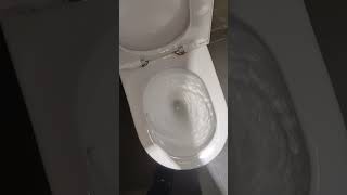 Toilet Flushing #toilet #flushing #flushingtoilets  #shorts