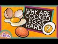 Understanding Hard-Boiled Eggs