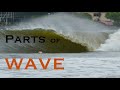 Understanding Wave Dynamics in Surfing