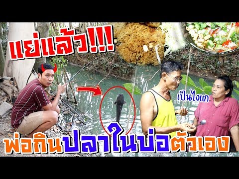 ขโมยปลาในบ่อพ่อมาทำยำปลาดุกฟู แย่แล้ว!!! พ่อดันกินซะเอง
