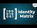 Identity Matrix Concepts and Properties