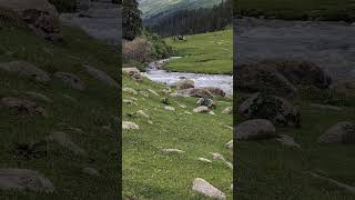 Mountain rivers. Eternal Love - Water and Stone. #Shorts