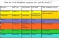 Biological Classification and Cell Structures