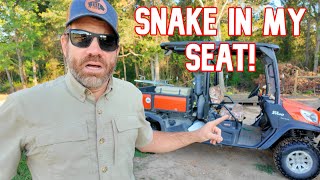 I Can't Believe This Snake Was Right There On My Seat!