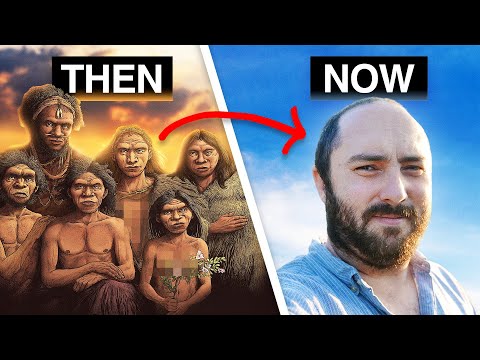 Why Are We The Last Human Species?
