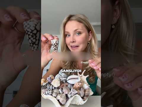 Bu Ölümcül Deniz Kabuklarından Uzak Durun!! 💀
