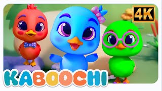🦆 Kaboochi Cinq Petits Canards Chanson | Comptines pour Bébés en Français 🎵