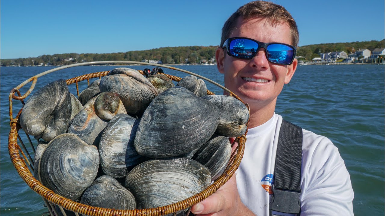 Spider Crabs and Clams- Catch Clean Cook! (New England Clam Chowder)