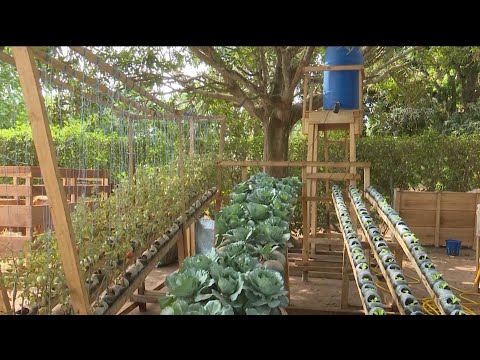 Le CNRA de Bouaké dévoile ses avancées pour une agriculture résiliente au changement climatique