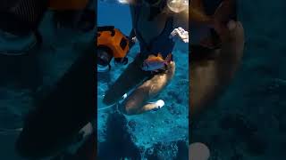 My lil fishy friend needs help 😞 #shorts