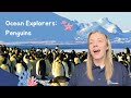 Penguin Species and Adaptations