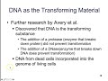 DNA Structure and Function Concepts