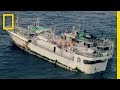 Understanding Longliner Fishing and Its Challenges