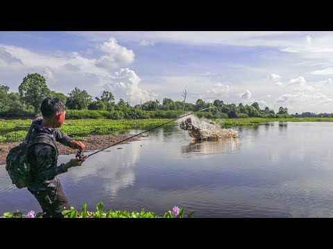 Casting Toman Buas Danau Air Hitam Pedalaman Riau Langsung Dibakar !!!