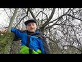 Understanding the Video Transcript