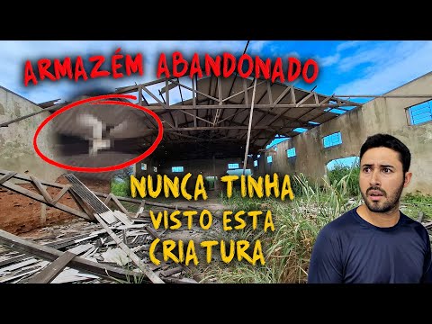 UM ARMAZÉM ABANDONADO NO MEIO DO MATO!