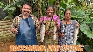 മീൻ നന്നാക്കി മുറിക്കുന്നത് ഇതിലും നന്നായി വേറെ ആര് കാണിച്ച് തരും | FISH CUTTING | കാളാഞ്ചി