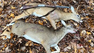 DEER SKIN RUG - Tanning a Whitetail Hide - FUR ON