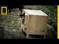 Building Dog Houses in Alaska
