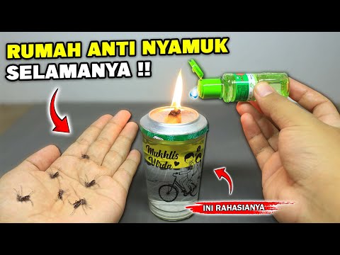 CUKUP PAKAI INI AJA, rumah jadi Anti NYAMUK selamanya !!