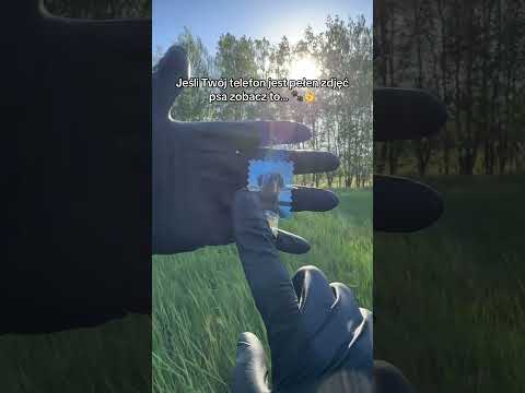 Jakiej rasy jest Twój pies?